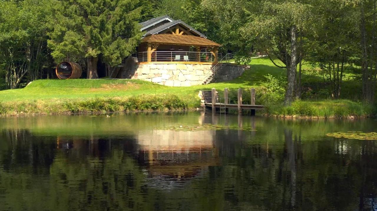 L'Ilet Aux 2 Etangs Saint-Nabord Exterior foto